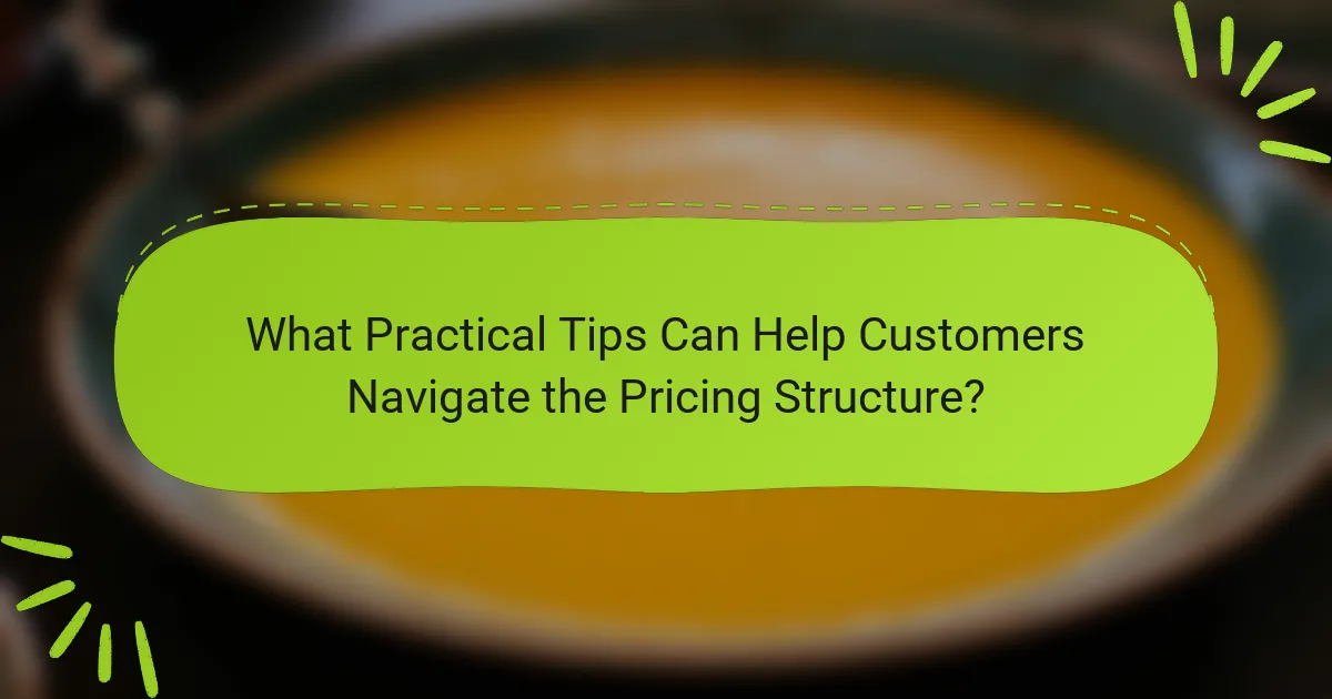 What Practical Tips Can Help Customers Navigate the Pricing Structure?